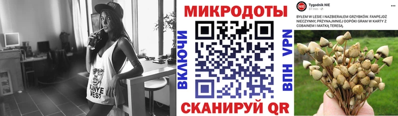 Галлюциногенные грибы GOLDEN TEACHER даркнет формула Новая Усмань мега сайт